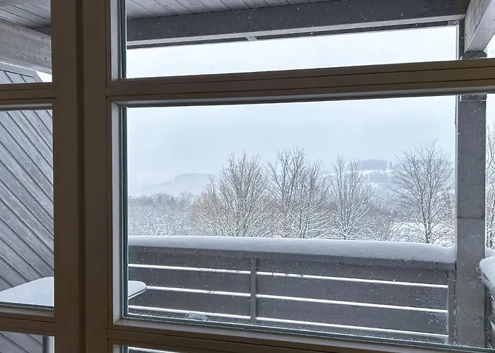 Appartement Uplandparcs Bergresidence Winterberg